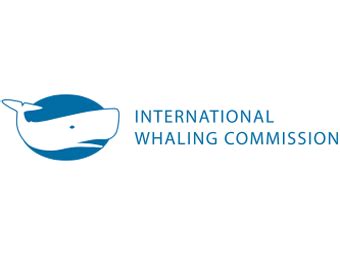 estinzione delle balene iwc|Commissione baleniera internazionale (IWC) .